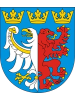 Starostwo Powiatowe w Pabianicach